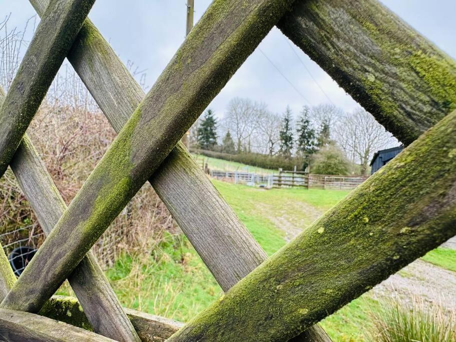 Upper Caerfaelog Farmhouse Llanbister 외부 사진